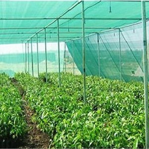 GREENHOUSE NET